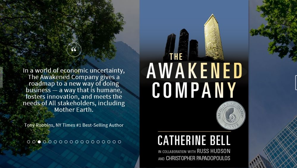 Cover image of the Awakened Company