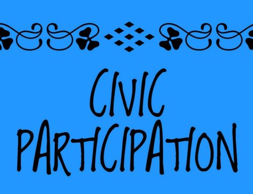 Public Participation in Democracy
